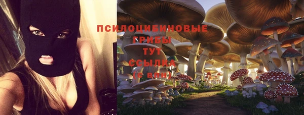 ГАЛЛЮЦИНОГЕННЫЕ ГРИБЫ Мегион