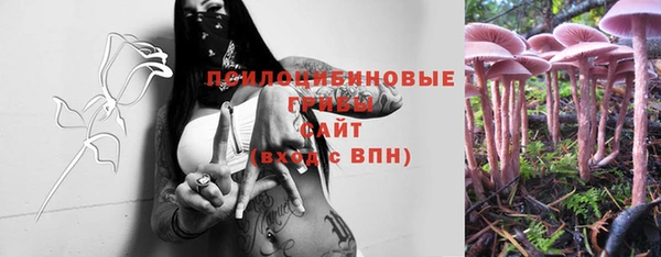 ГАЛЛЮЦИНОГЕННЫЕ ГРИБЫ Мегион